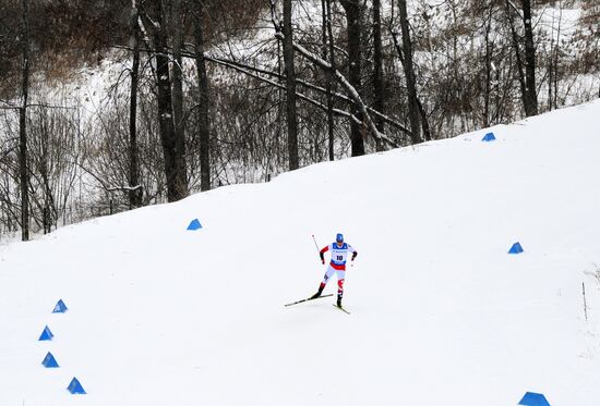 Лыжные гонки. Кубок России. Свободный стиль. Мужчины. 15 км