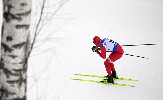 Лыжные гонки. Кубок России. Свободный стиль. Мужчины. 15 км