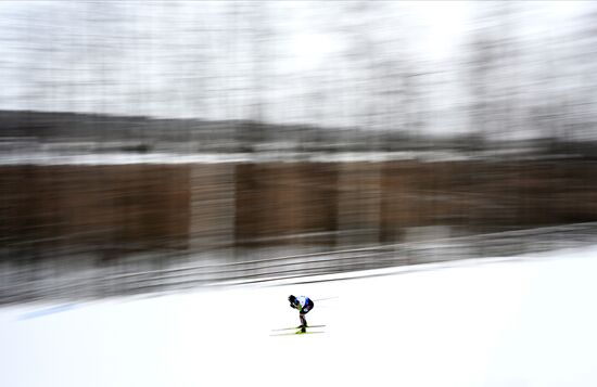 Лыжные гонки. Кубок России. Свободный стиль. Мужчины. 15 км