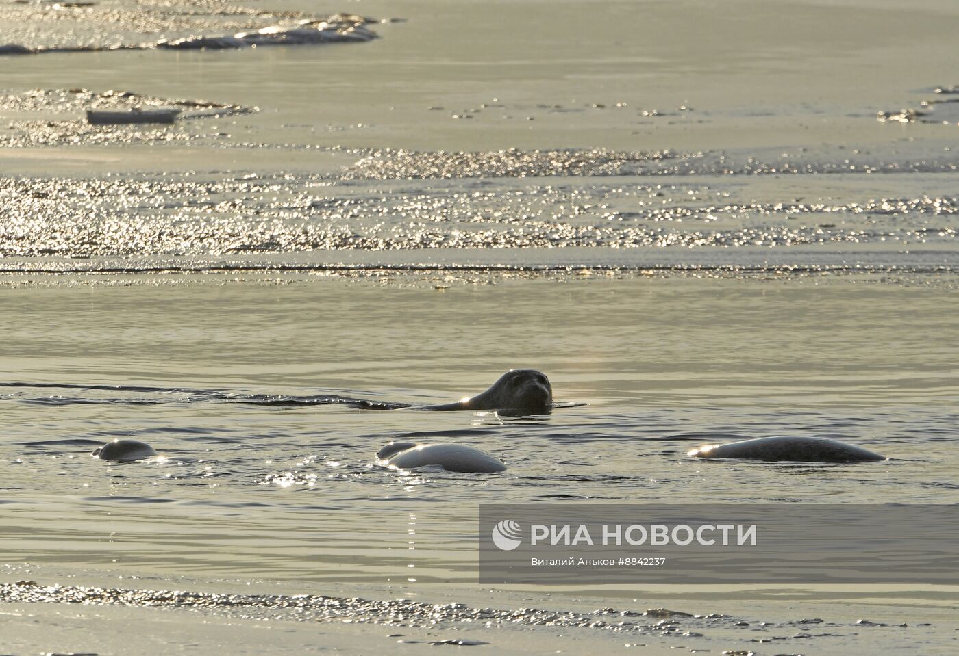 Зима во Владивостоке
