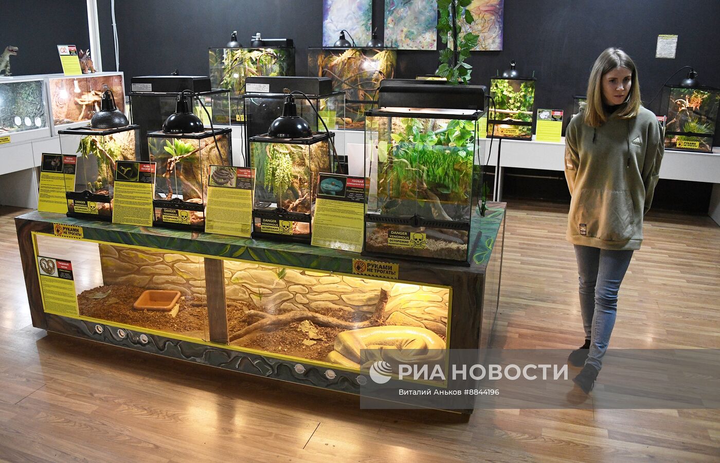 Зоопарк рептилий во Владивостоке