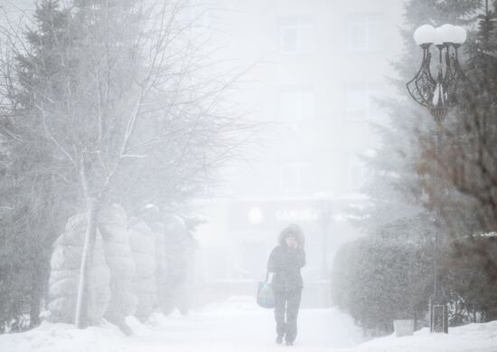 Метель в Новосибирске