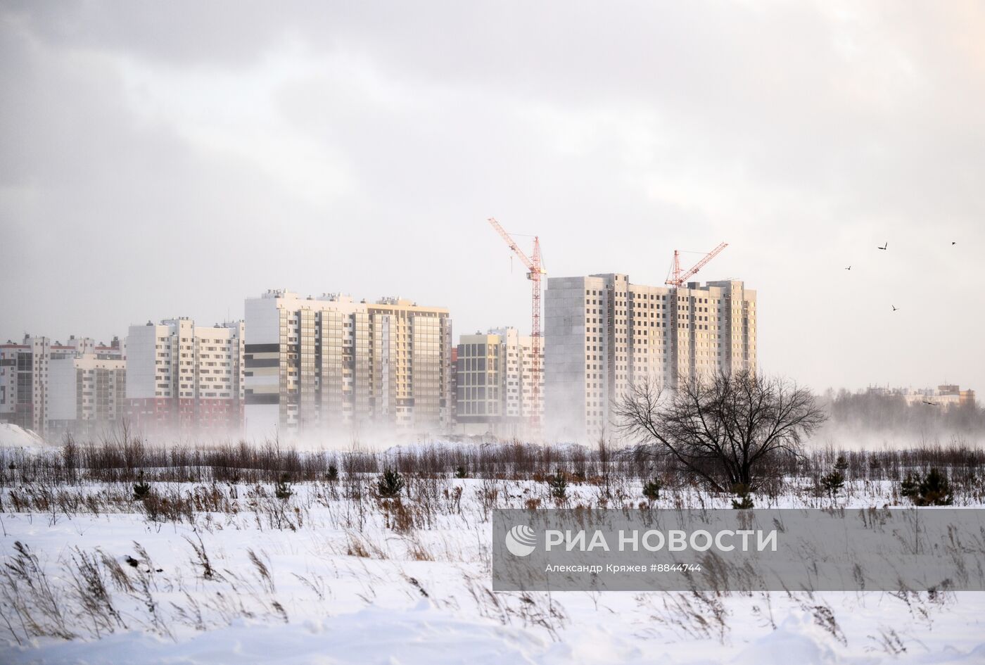 Метель в Новосибирске