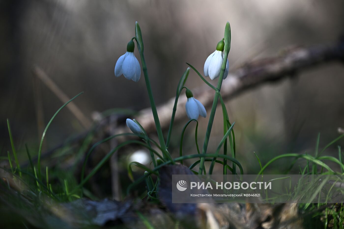 Теплая погода в Крыму 