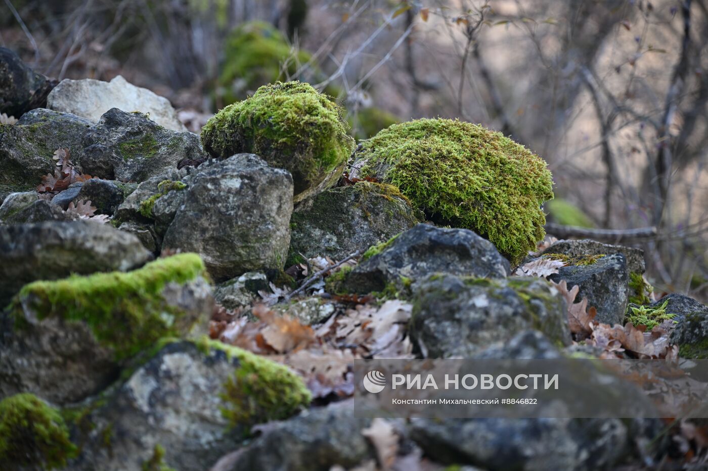 Теплая погода в Крыму 