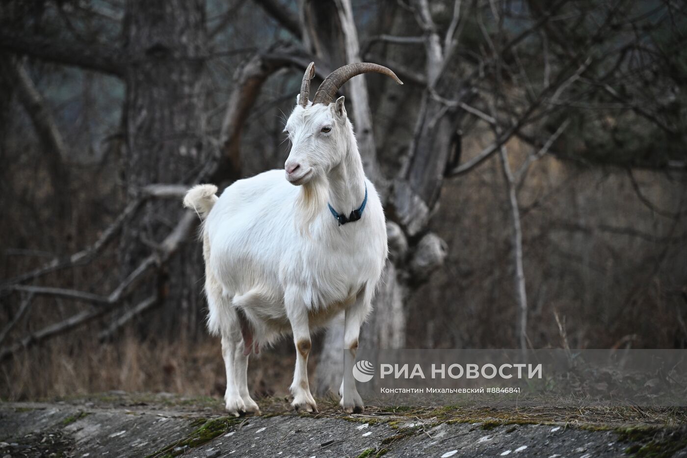 Теплая погода в Крыму 