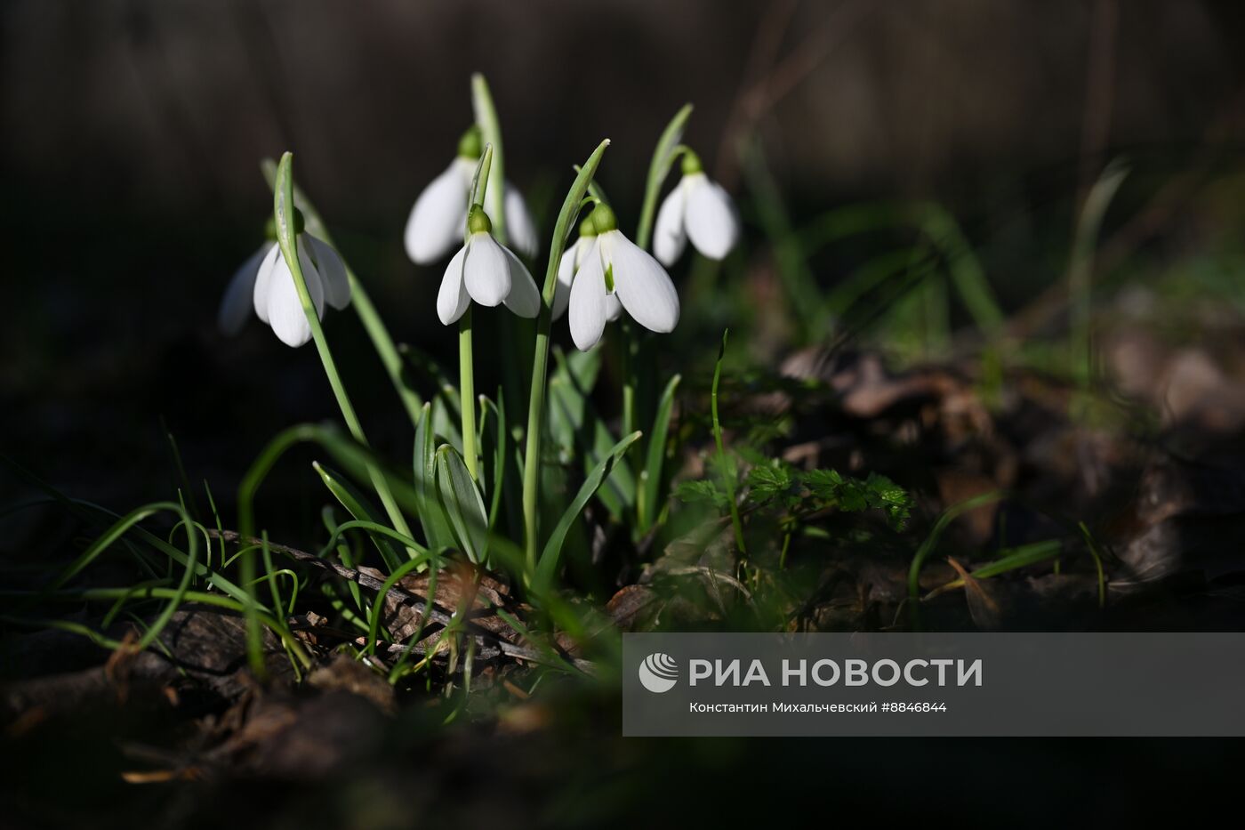 Теплая погода в Крыму 