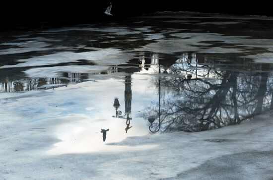 Повседневная жизнь 