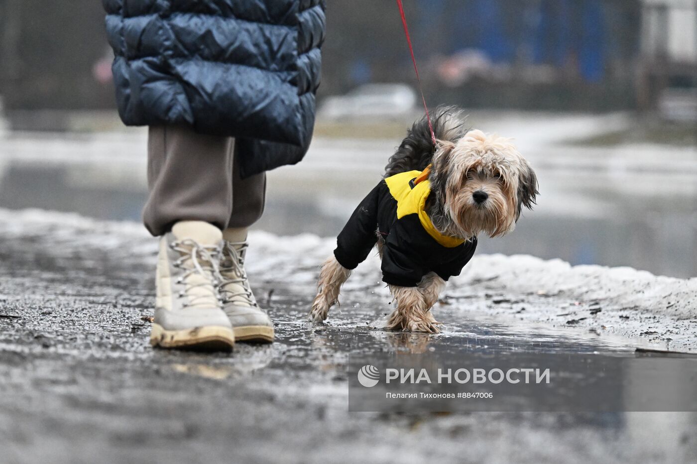 Теплая погода в Москве