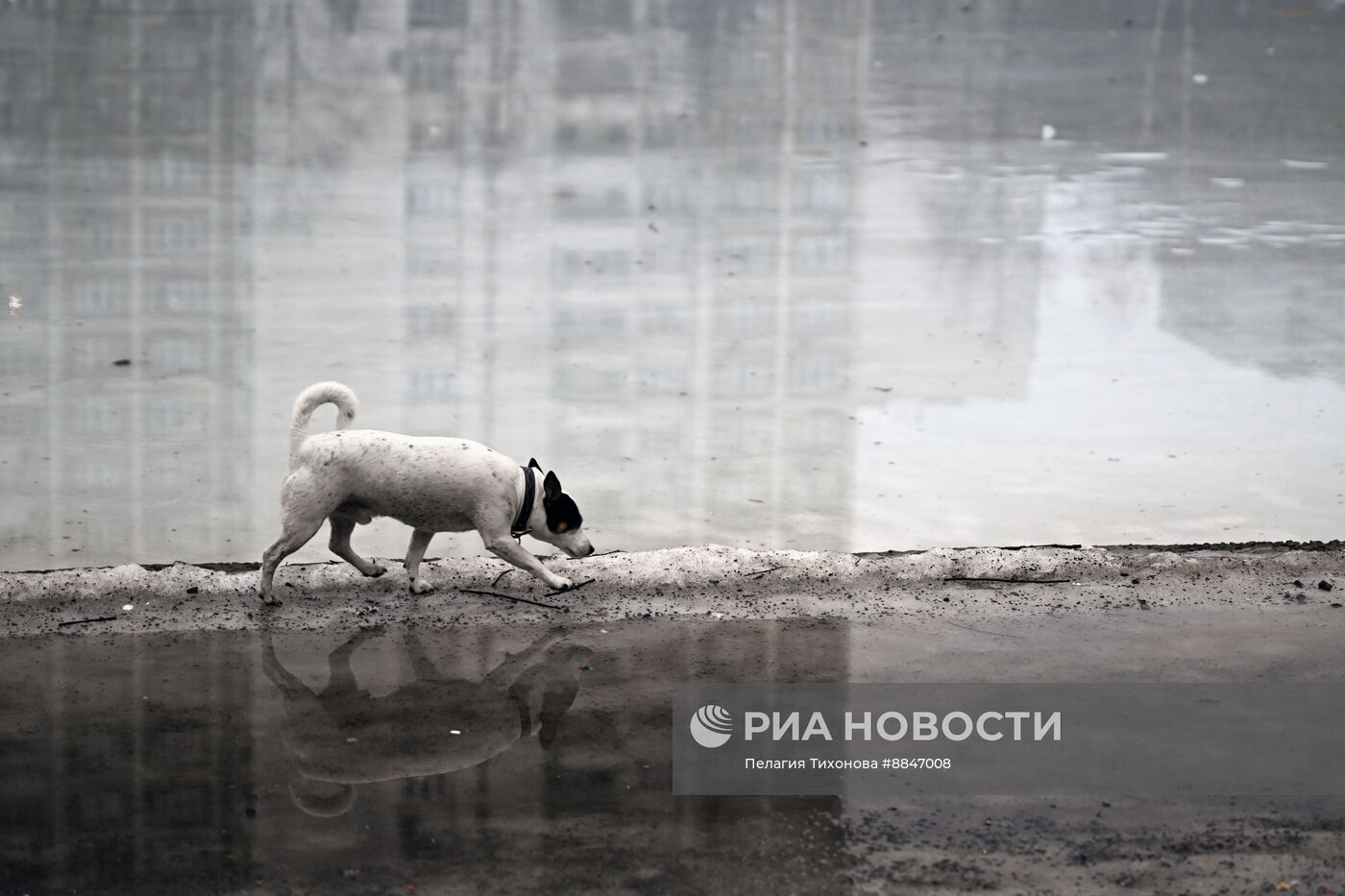 Теплая погода в Москве