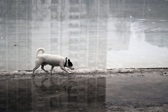 Теплая погода в Москве