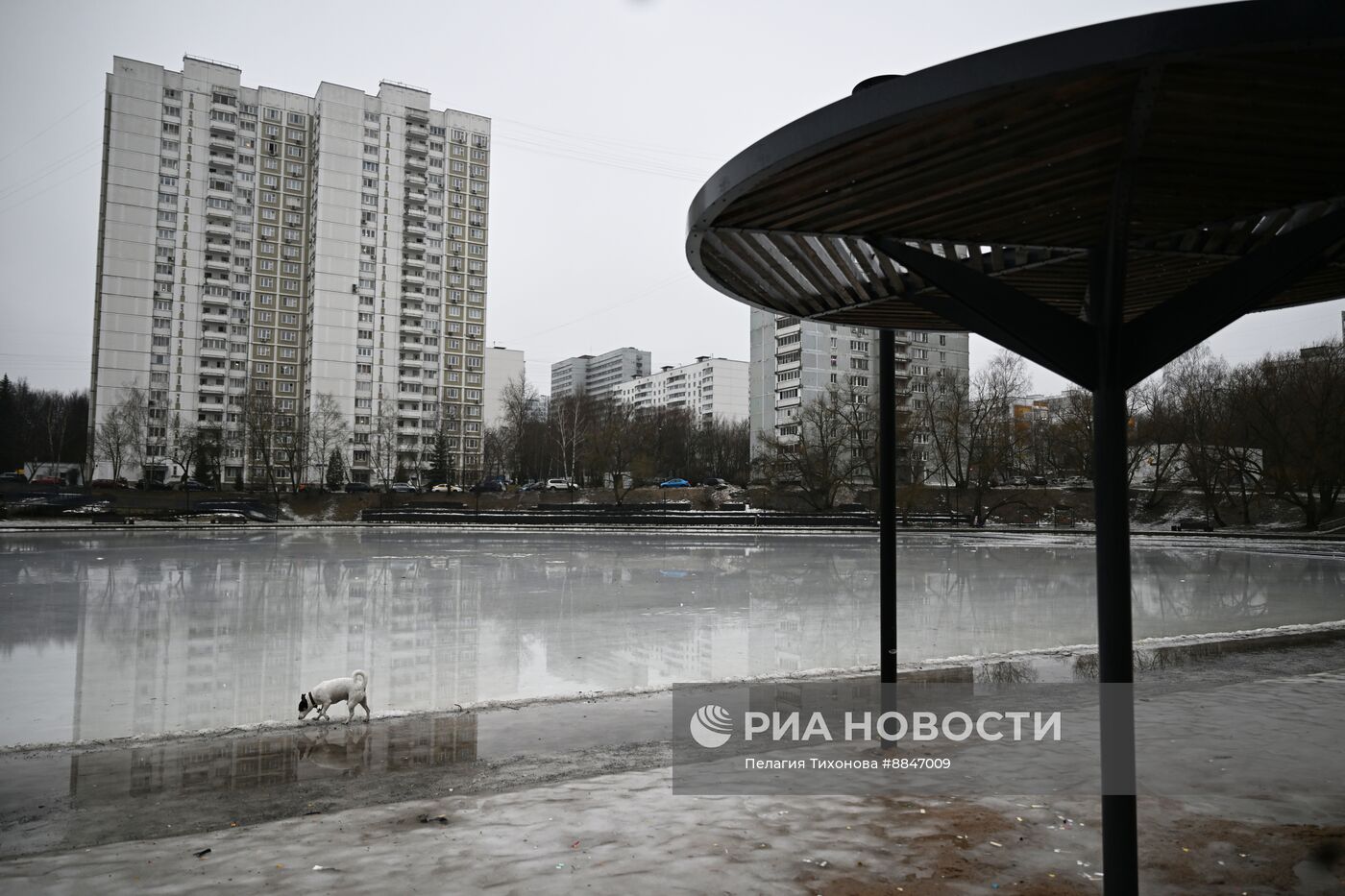 Теплая погода в Москве