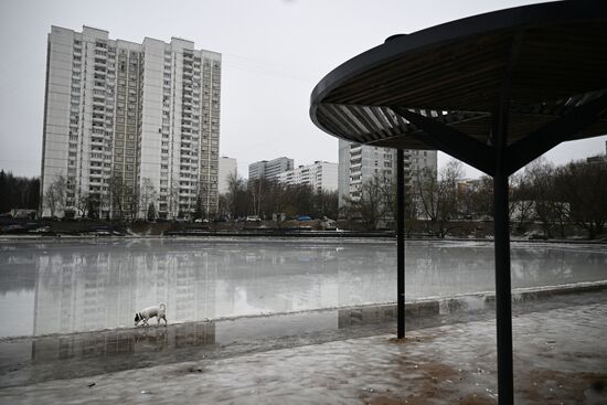 Теплая погода в Москве