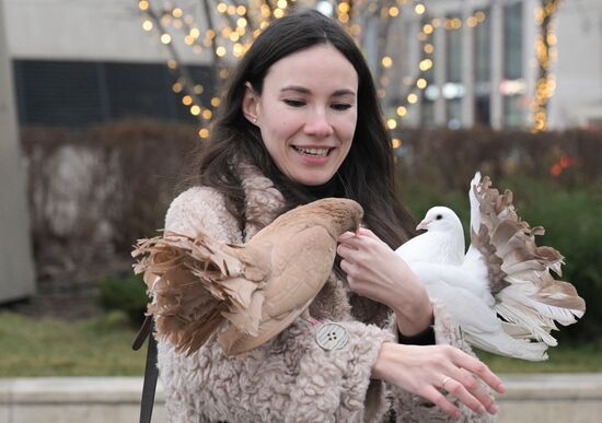 Теплая погода в Москве