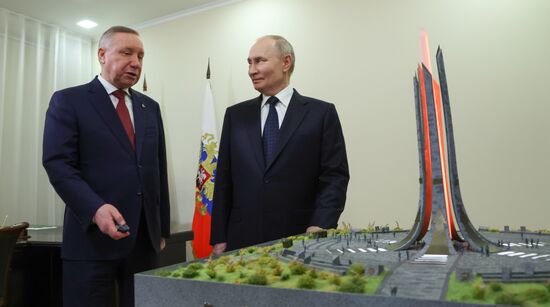 Рабочая встреча президента Владимира Путина и губернатора Санкт-Петербурга А. Беглова