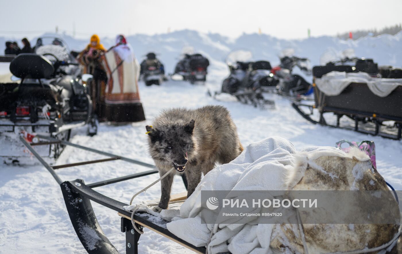 Трудовые династии. Ямал