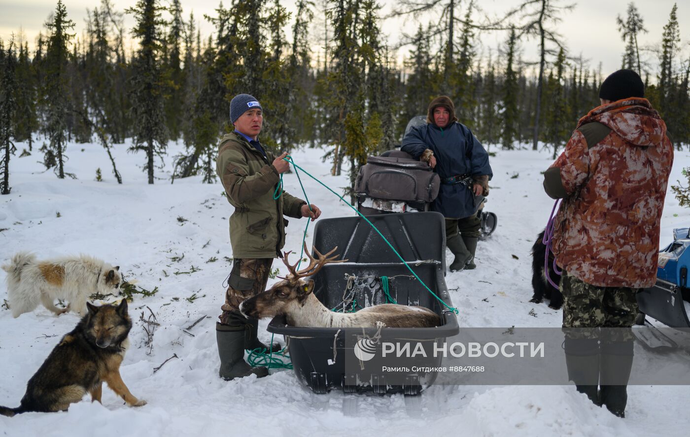 Трудовые династии. Ямал