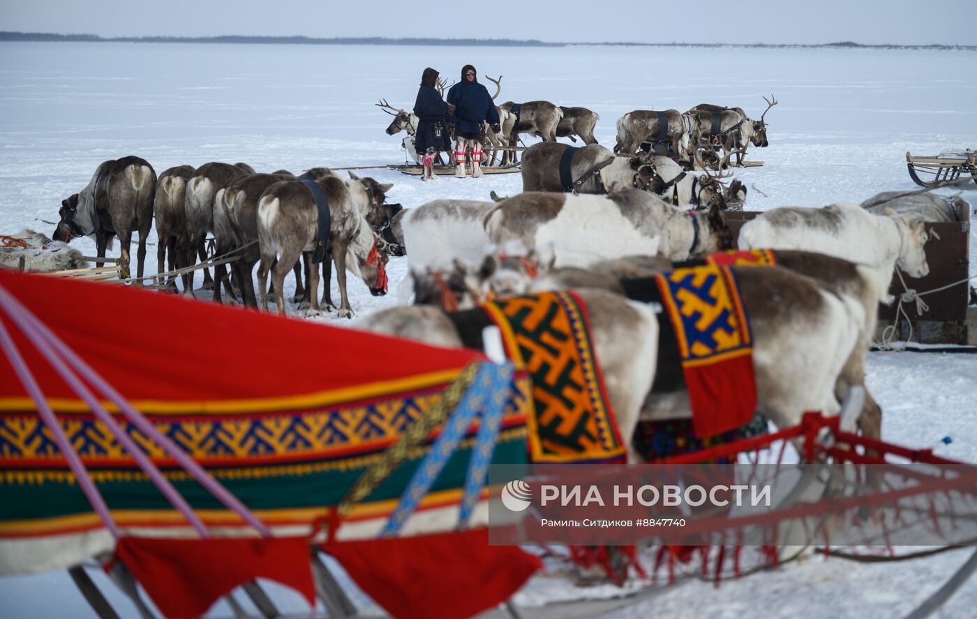 Трудовые династии. Ямал