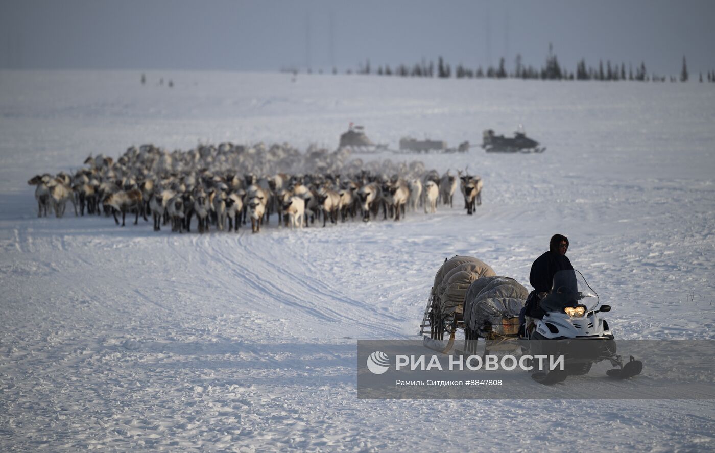 Трудовые династии. Ямал