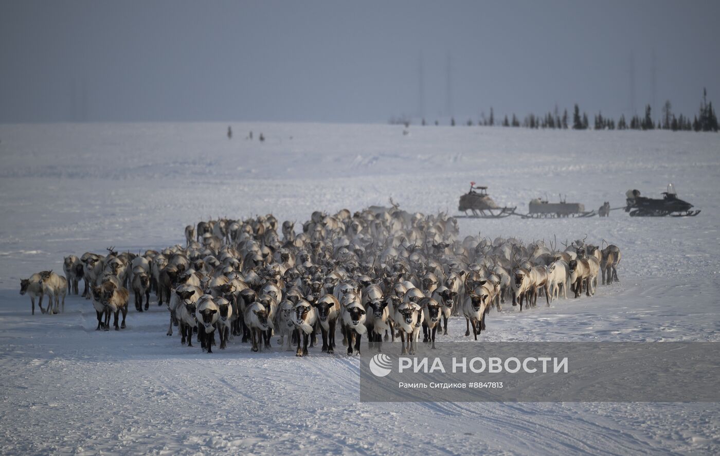 Трудовые династии. Ямал