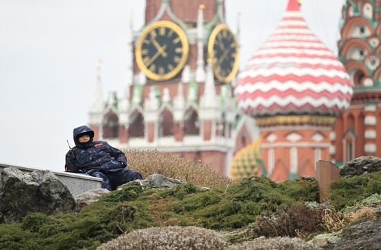 Теплая погода в Москве