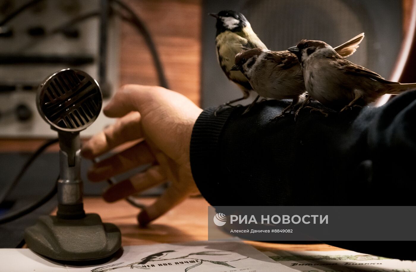 Инсталляция "Авторский стиль"