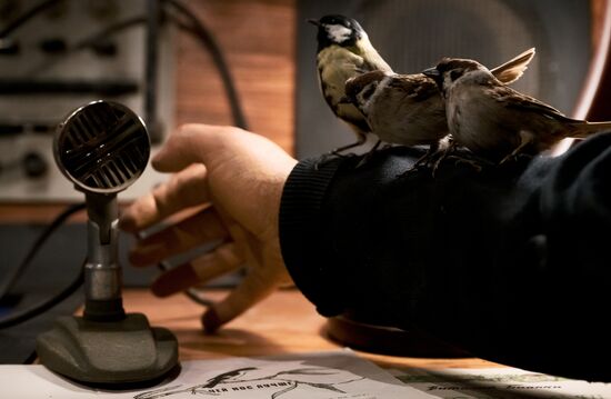 Инсталляция "Авторский стиль"