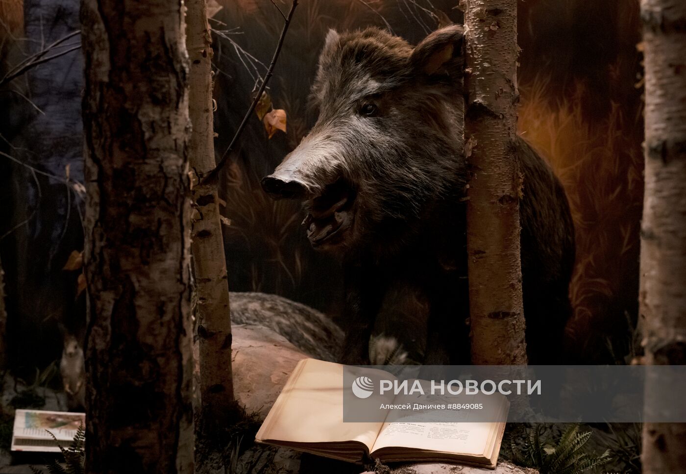 Инсталляция "Авторский стиль"