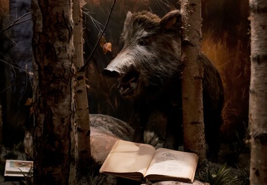 Инсталляция "Авторский стиль"