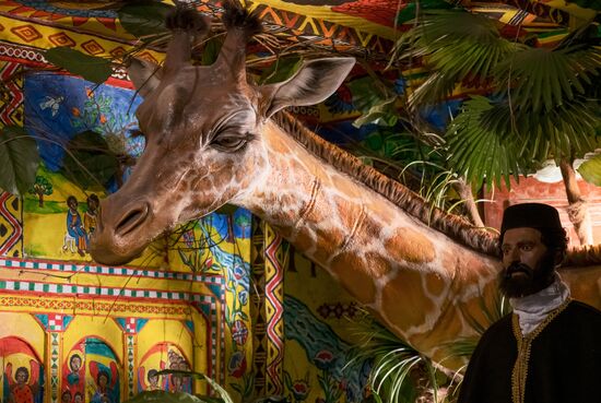 Инсталляция "Авторский стиль"