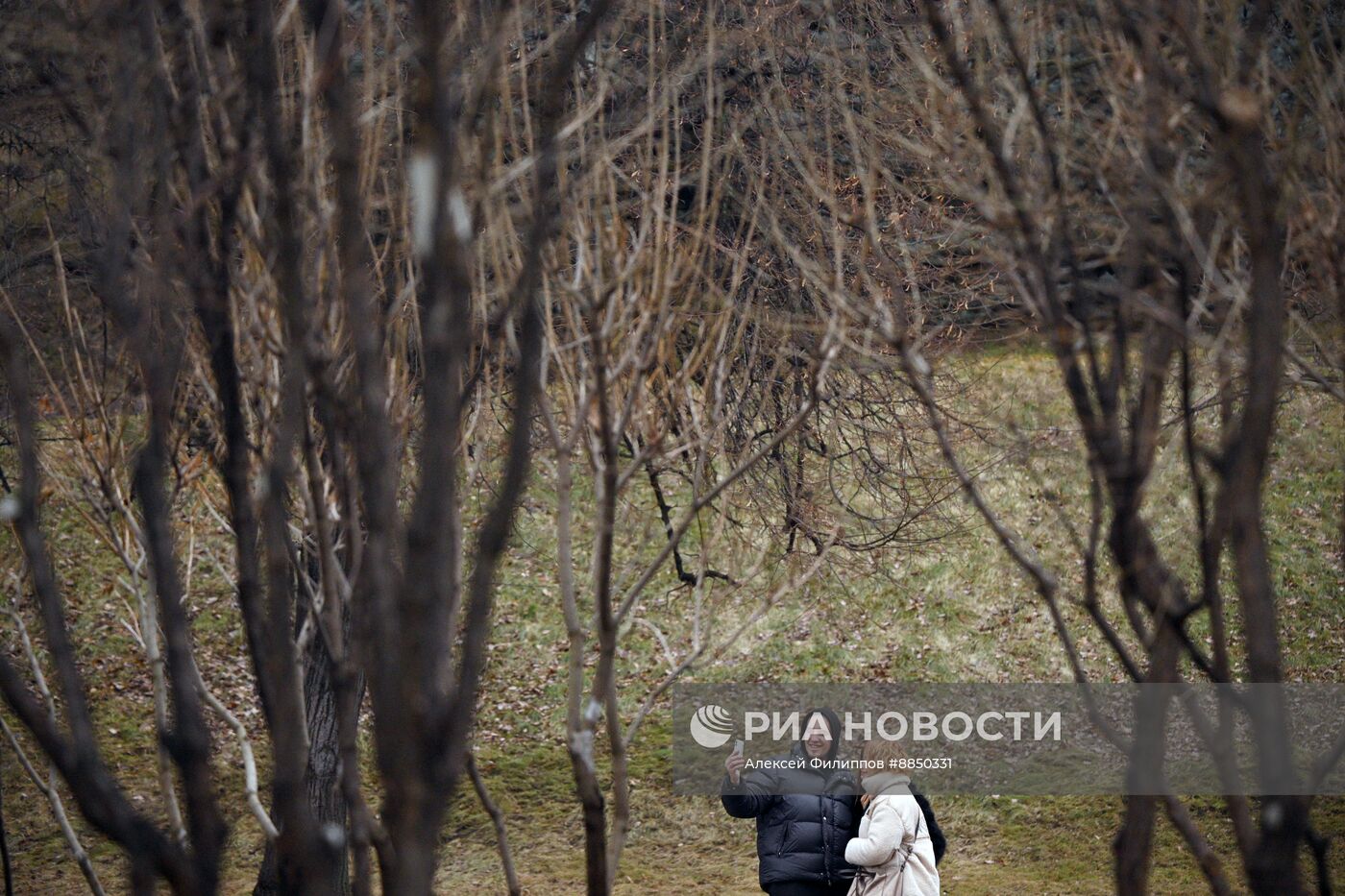 Теплая погода в Москве