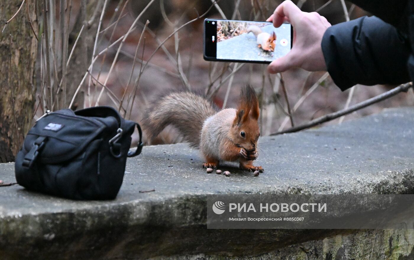 Теплая погода в Москве