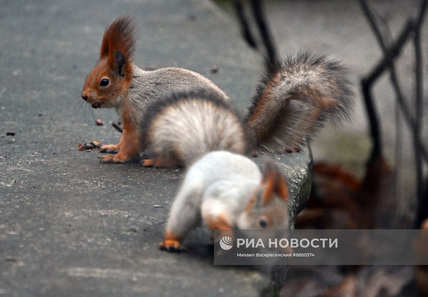 Теплая погода в Москве