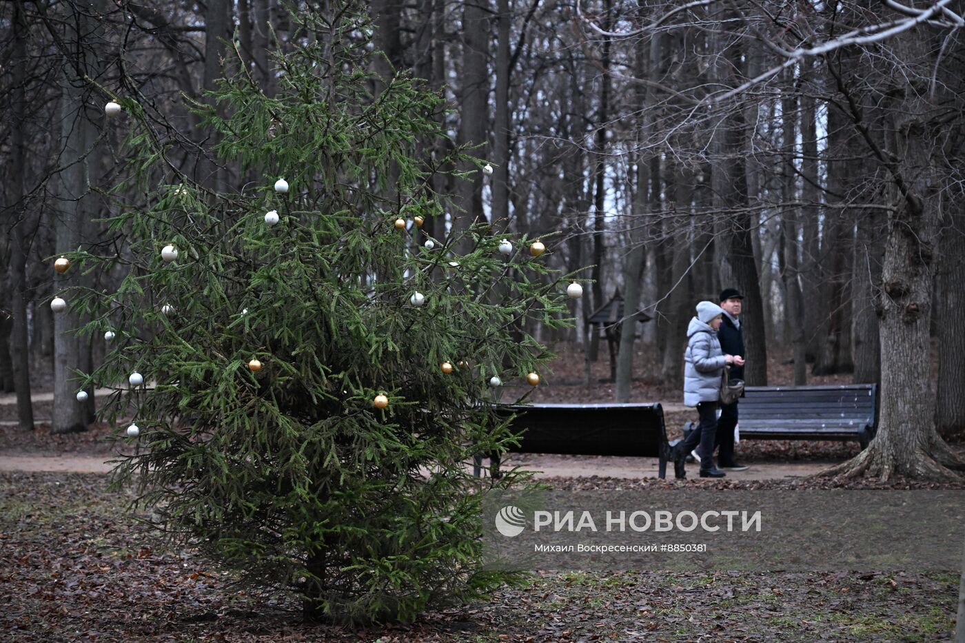 Теплая погода в Москве