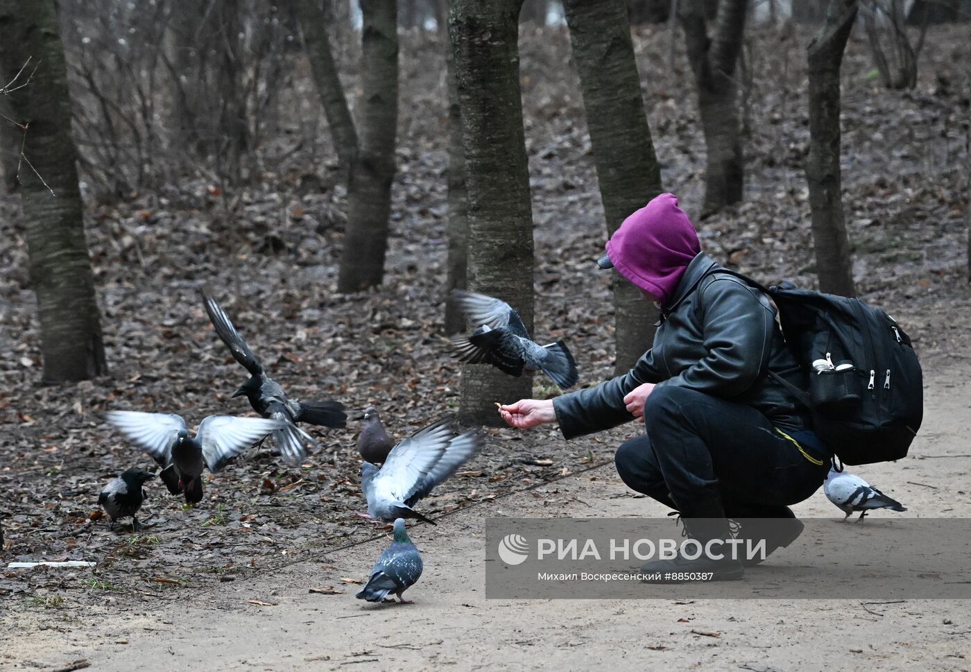 Теплая погода в Москве