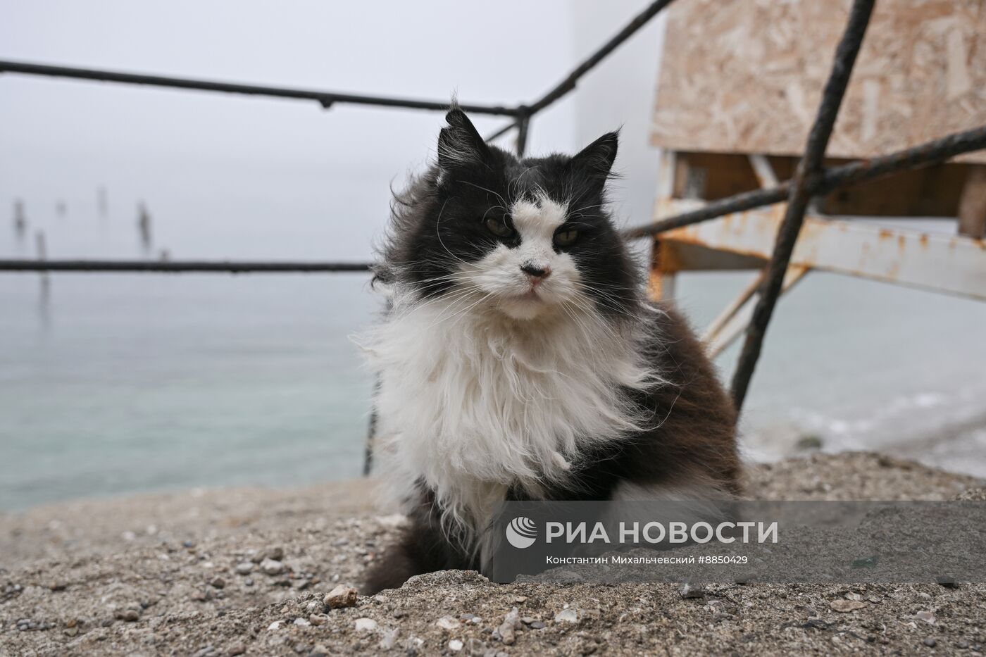 Теплая погода в Крыму