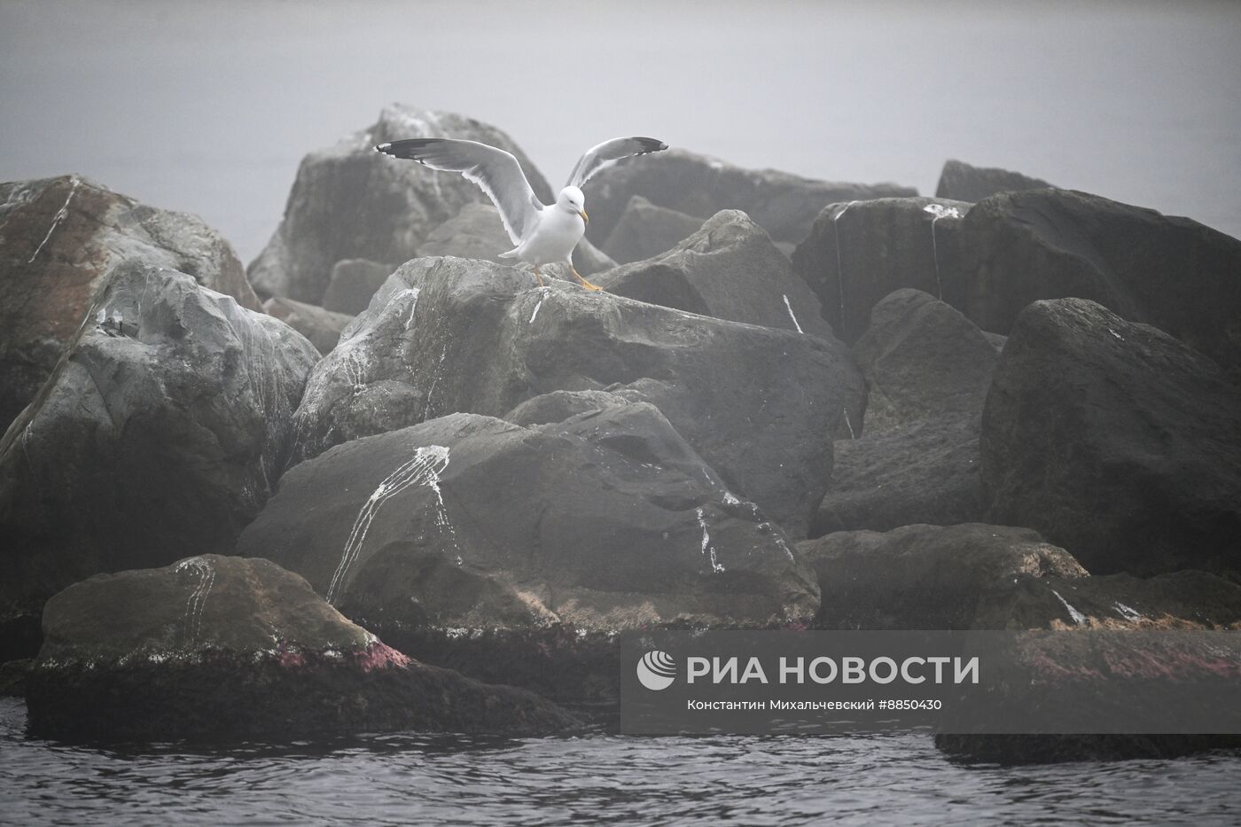 Теплая погода в Крыму