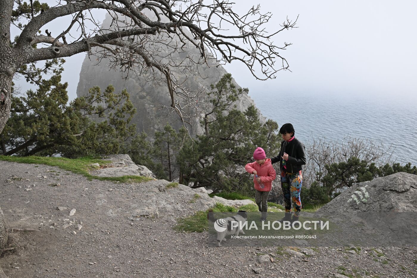 Теплая погода в Крыму