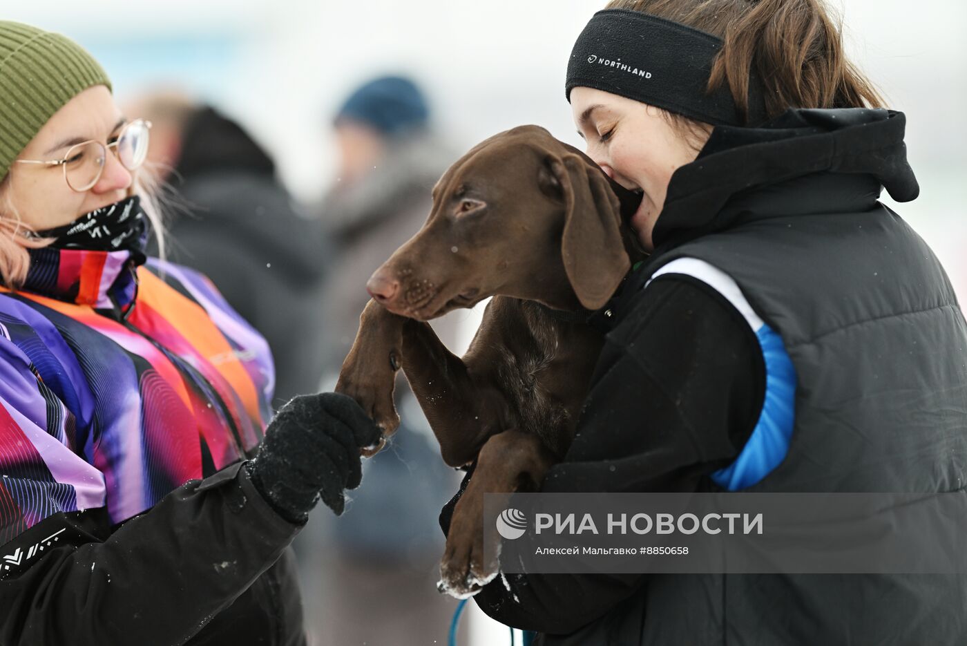 Соревнования по ездовому спорту в Омской области