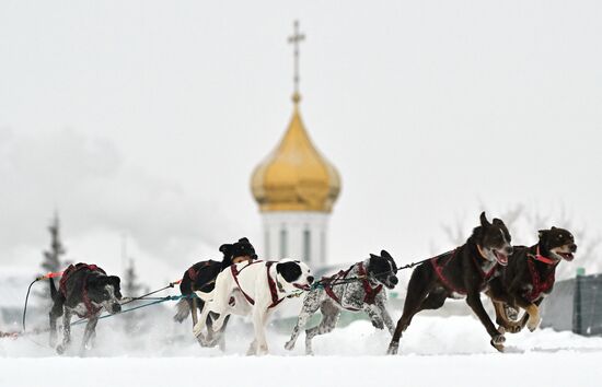 Соревнования по ездовому спорту в Омской области