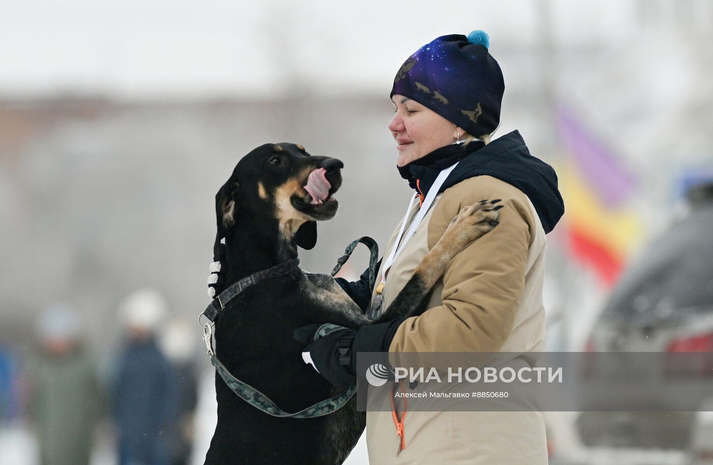 Соревнования по ездовому спорту в Омской области