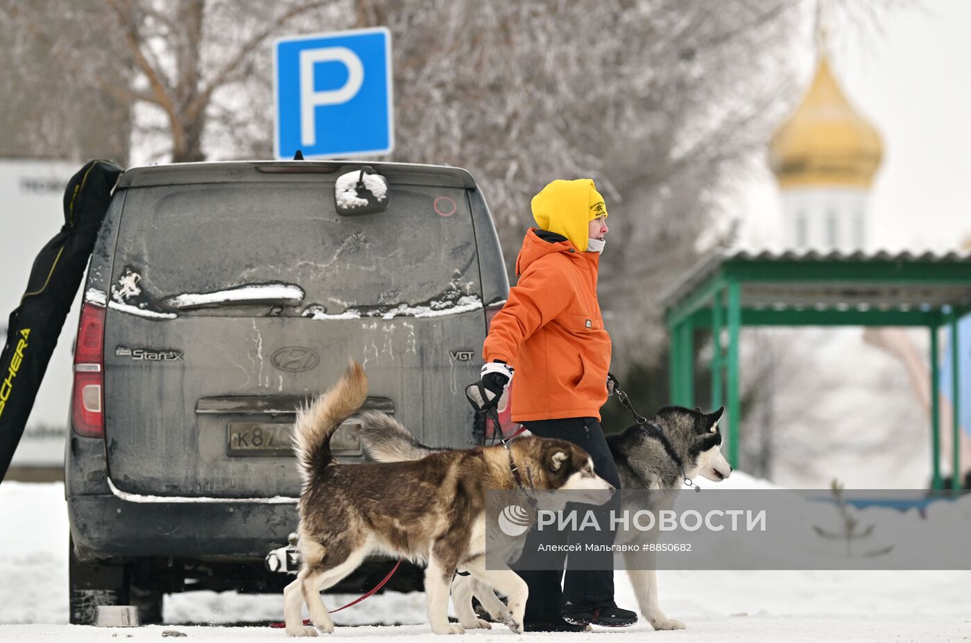 Соревнования по ездовому спорту в Омской области