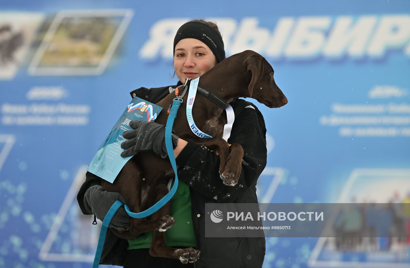 Соревнования по ездовому спорту в Омской области