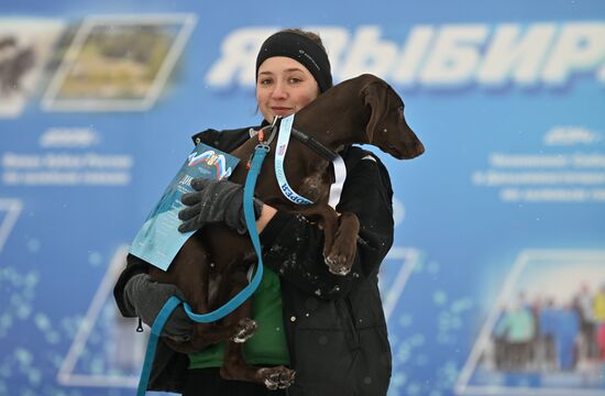 Соревнования по ездовому спорту в Омской области