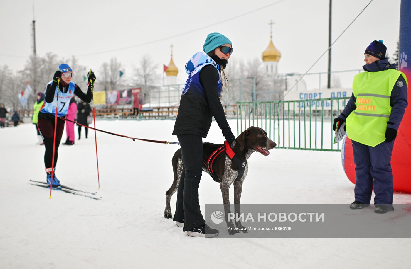 Соревнования по ездовому спорту в Омской области