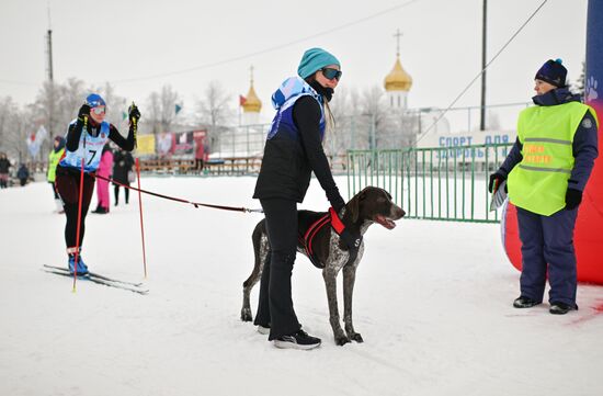 Соревнования по ездовому спорту в Омской области