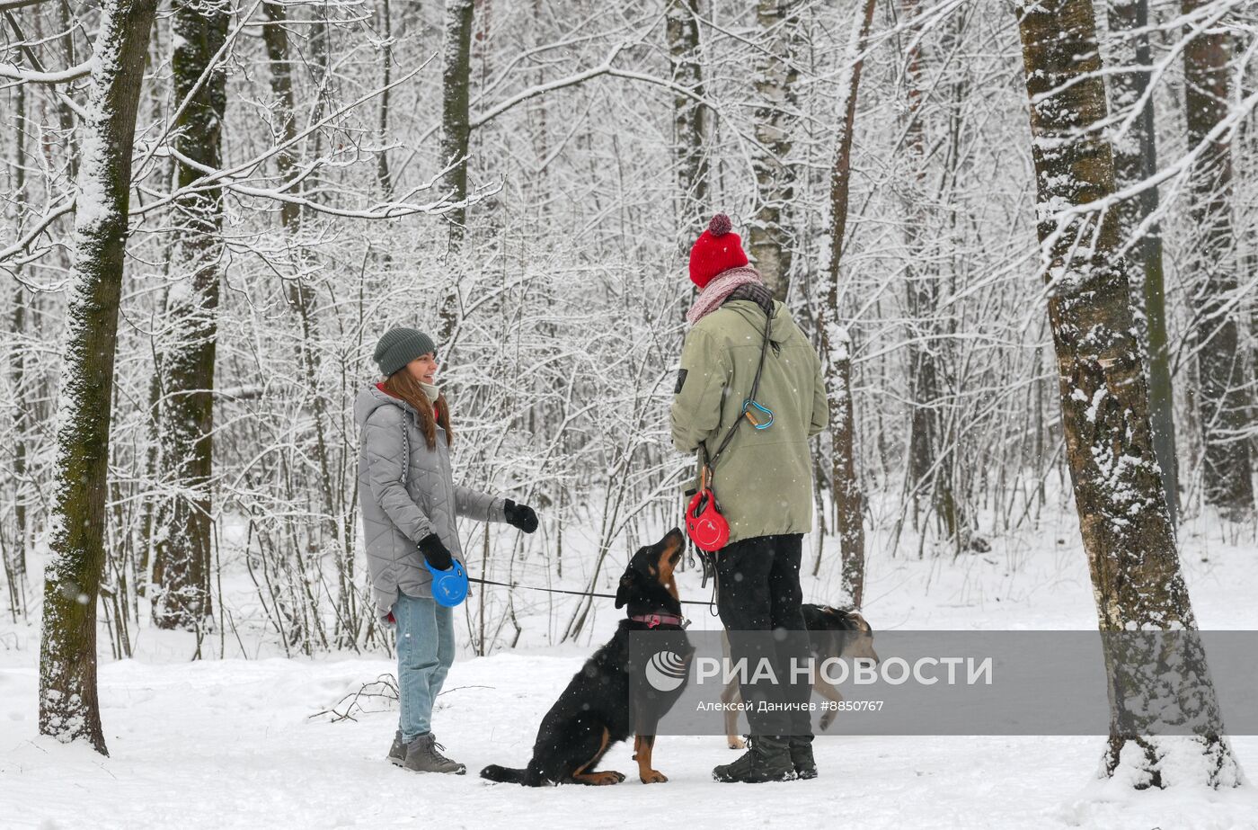 Горожане отдыхают в парке "Сосновка" в Санкт-Петербурге