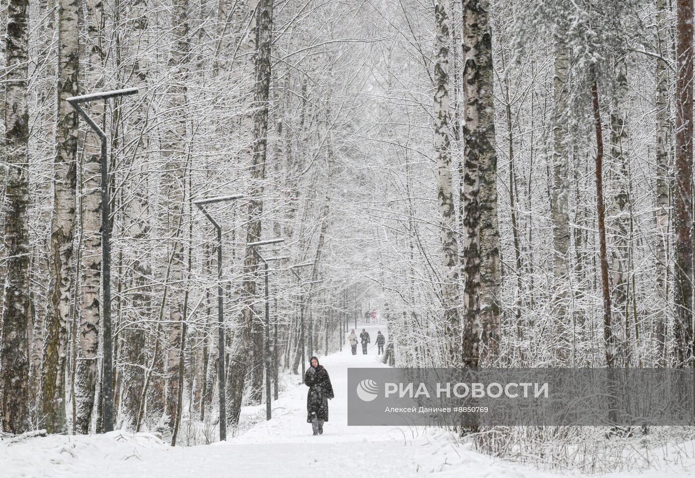 Горожане отдыхают в парке "Сосновка" в Санкт-Петербурге