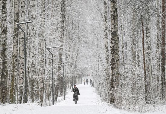 Горожане отдыхают в парке "Сосновка" в Санкт-Петербурге