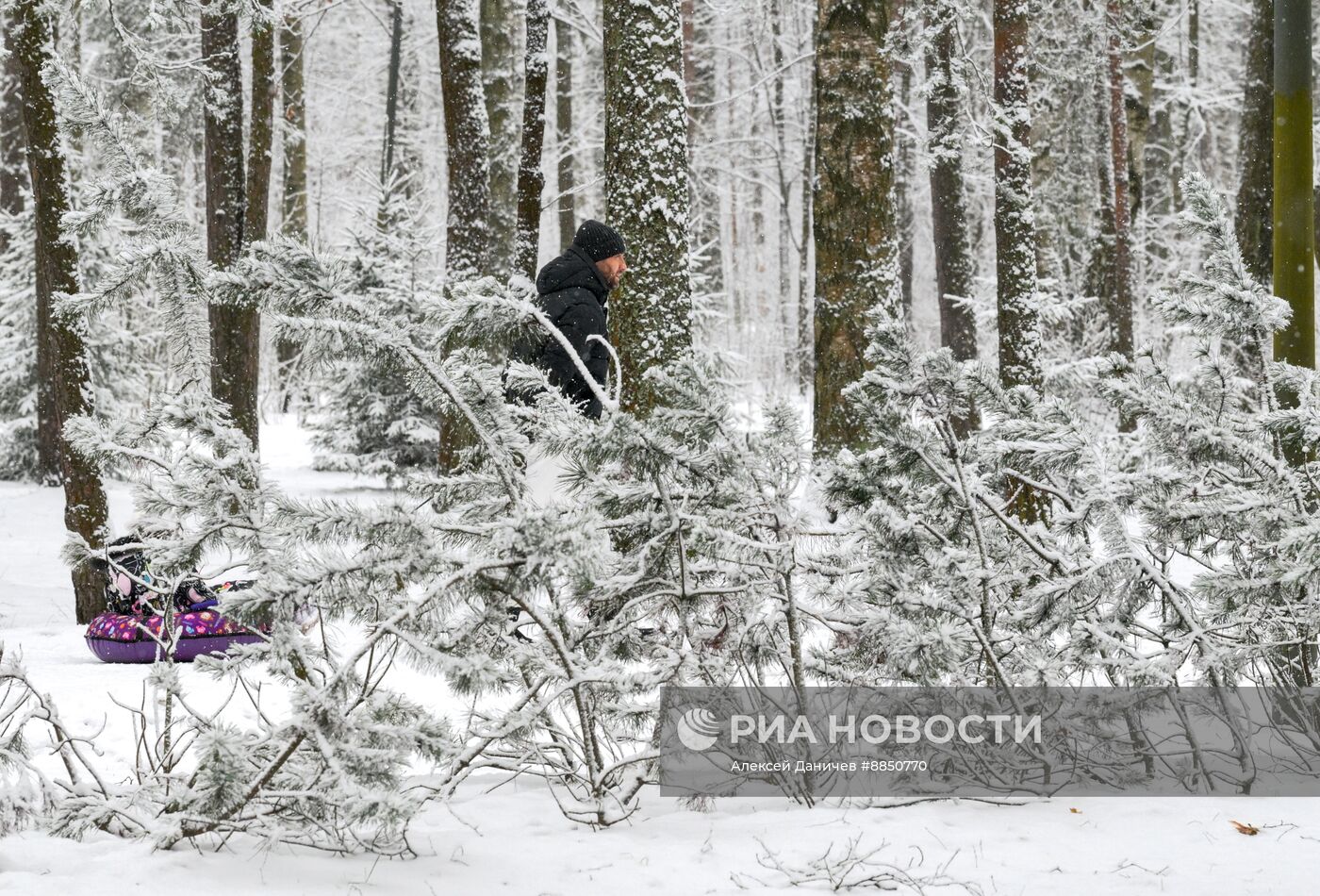 Горожане отдыхают в парке "Сосновка" в Санкт-Петербурге